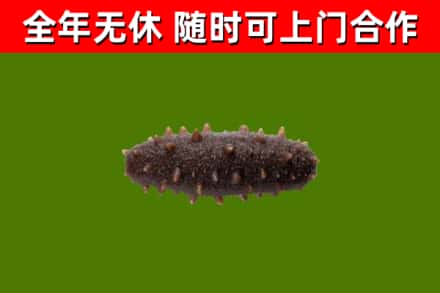 磐石市烟酒回收干海参.jpg
